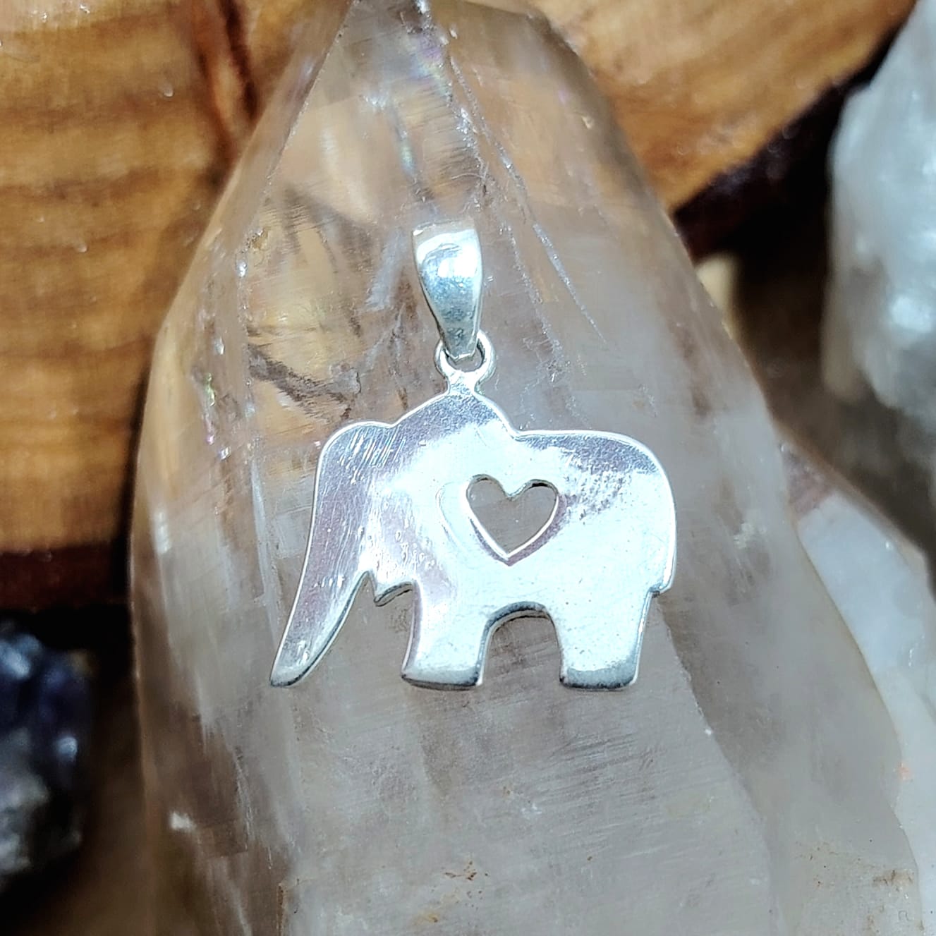 Dije elefante plata lisa